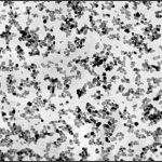 Complex Oxides